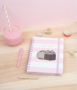 Pusheen Pusheen - Planner 2019/2020 (14 x 16 cm) uniwersalny 9