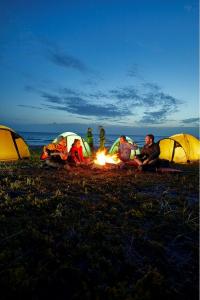 Namiot turystyczny Grand Canyon Robson 2 turkusowy 12