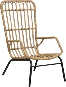 vidaXL fotel ogrodowy, polirattan, jasny brąz (48580) 1