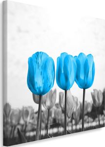 Feeby Obraz na płótnie - Canvas, Niebieskie tulipany 40x40 1