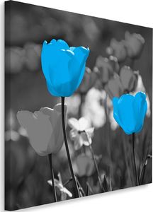 Feeby Obraz na płótnie - Canvas, Niebieskie tulipany na łące 40x40 1