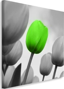 Feeby Obraz na płótnie - Canvas, Zielony tulipan 40x40 1