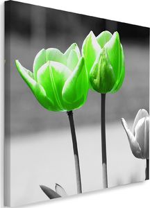 Feeby Obraz na płótnie - Canvas, Zielone tulipany w szarości 40x40 1