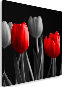 Feeby Obraz na płótnie - Canvas, Czerwone tulipany 40x40 1