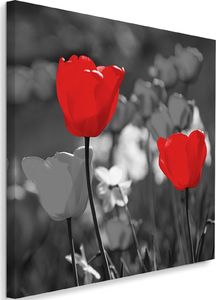 Feeby Obraz na płótnie - Canvas, Czerwone tulipany w szarości 40x40 1