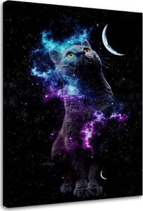 Feeby Obraz na płótnie Canvas, Kosmos kot księżyc 50x70 1