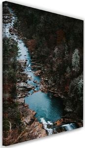 Feeby Obraz na płótnie - Canvas, Rzeka w lesie 40x60 1