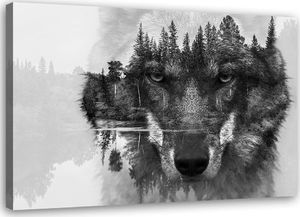 Feeby Obraz na płótnie Canvas, Wilk w lesie 60x40 1
