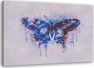 Feeby Obraz na płótnie Canvas, Wielobarwny motyl 100x70 1