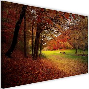 Feeby Obraz na płótnie - Canvas, Zielona leśna polana 60x40 1