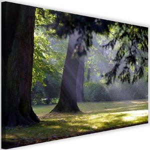 Feeby Obraz na płótnie - Canvas, Drzewa w parku 90x60 1