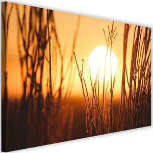 Feeby Obraz na płótnie - Canvas, Zachód słońca i krzewy 60x40 1