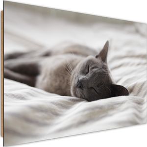 Feeby Deco Panel, Śpiący kot 60x40 1