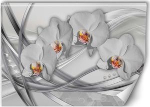 Feeby Fototapeta, Abstrakcyjne orchidee 250x166 1