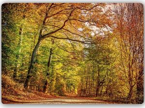 Feeby Obraz na metalu, Droga w lesie jesienią 40x30 1