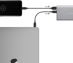 Powerbank Moshi Moshi IonSlim Portable Battery - Aluminiowy power bank USB-C 30 W Power Delivery 10K (Titanium Gray) 4