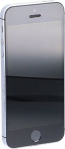 Smartfon Apple iPhone 5S 1/16GB Szary 3