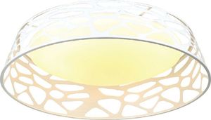 Lampa sufitowa Orlicki Design Plafon sufitowy metalowy biały Orlicki Design Forina ledowy Forina bianco PL 1
