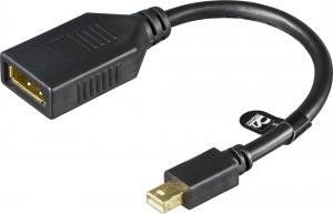 Adapter AV Deltaco DisplayPort Mini - DisplayPort czarny (Deltaco MDP-DP1 - 15cm Mini DisplayPor) 1