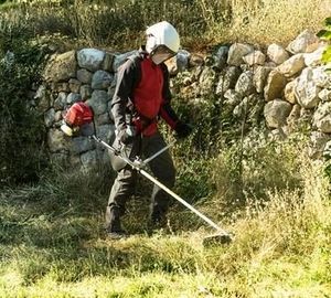 Honda Kosa spalinowa UMK 450E (9617) 6