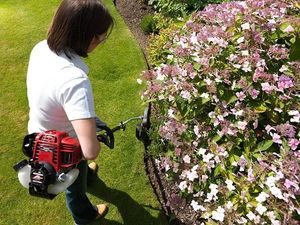 Honda Jednostka napędowa Versatool Umc 435 E 5