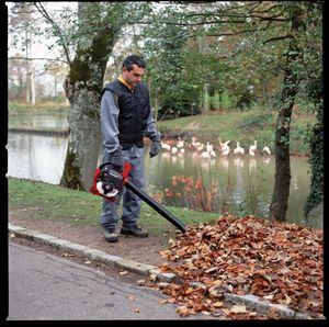 Honda Dmuchawa do liści HHB 25E 6