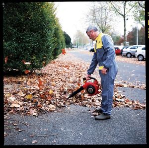 Honda Dmuchawa do liści HHB 25E 7