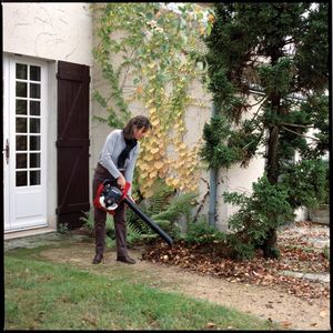 Honda Dmuchawa do liści HHB 25E 8