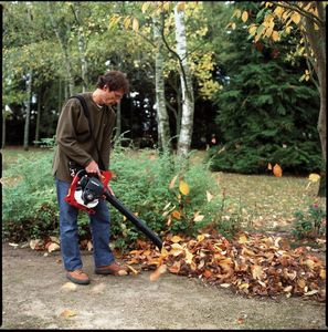 Honda Dmuchawa do liści HHB 25E 9