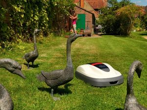 Robot koszący Honda Miimo 520 5