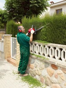 Honda Nożyce spalinowe HHH 25D-60E 55 cm 4