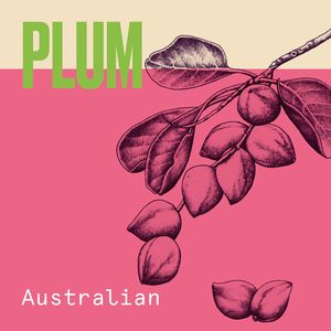 Aussie Apimties plaukams suteikiantis šampūnas Aussie Volume 300 ml 6