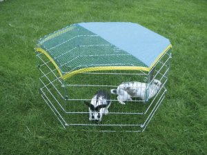 Kerbl Kojec, wybieg, klatka dla królika, świnki 6 el. uniwersalny 2