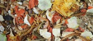 Natural-Vit Pokarm karma chomika z larwami Korona Natury 750 g uniwersalny 2