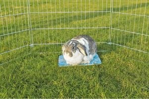 Trixie Płyta ceramiczna chłodząca królika świnki gryzoni uniwersalny 1