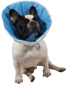 Grande Finale Kołnierz pooperacyjny pozabiegowy psa kota GF 1 S uniwersalny 2