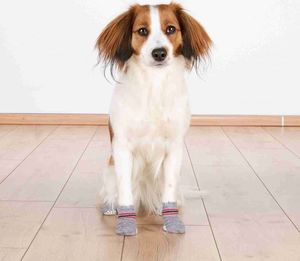 Trixie Skarpetki dla psa antypoślizgowe Trixie, para L-XL uniwersalny 4