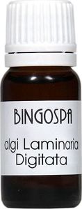 BingoSpa Algi Laminaria Digitata 10 ml 1