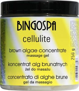 BingoSpa Koncentrat alg brunatnych do masażu SPA z L-karnityną i koenzymem Q10 1