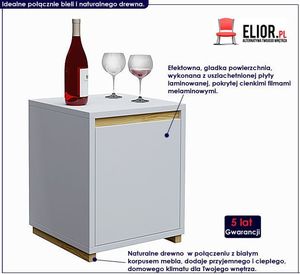 Elior Kontenerek do biurka Inelo D6 2