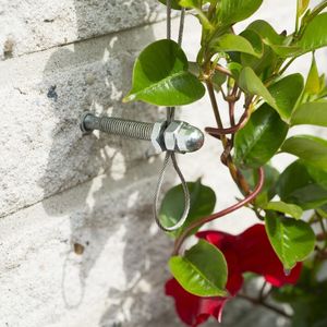 Nature Nature Zestaw do trejażu ogrodowego z drutu, 6040760 3