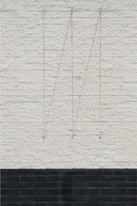 Nature Nature Zestaw do trejażu ogrodowego z drutu, 6040760 5