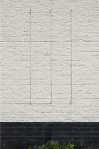 Nature Nature Zestaw do trejażu ogrodowego z drutu, 6040760 6