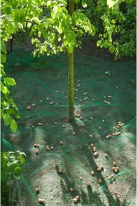 Nature Nature Siatka do zbierania owoców i liści, 4,3x4,3 m, 6030451 2