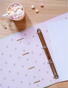 Segregator Pusheen Budget 4-ringowy 26x32cm jasnozielony (67371-uniw) 4