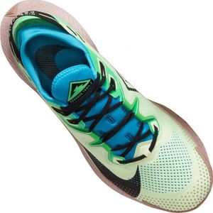 Nike Buty biegowe Nike Pegasus Trail 2 M CK4305 41 6
