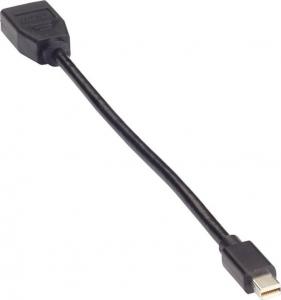 Adapter AV Black Box DisplayPort Mini - DisplayPort czarny 1