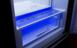 Lodówka Beko BCNA306E3SN 4