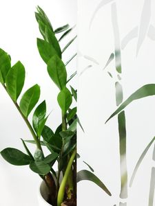 D-c-Fix Folia Okleina Okienna Samoprzylepna Klejowa Na Szyby BAMBUS 45x200 I8 3