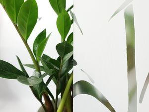 D-c-Fix Folia Okleina Okienna Samoprzylepna Klejowa Na Szyby BAMBUS 45x200 I8 5